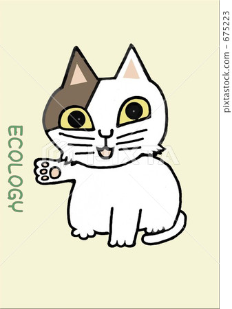 cat, pussy, a cat 675223