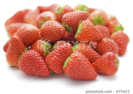 Ichigo（紅臉頰） 675421