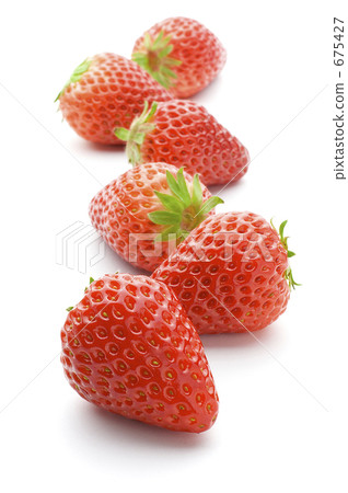 Ichigo(紅臉頰) Ichigo(紅臉頰) 675427