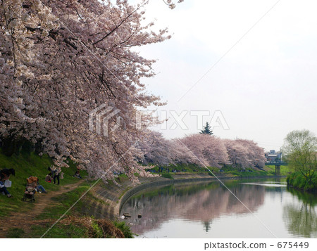 Hokuetsougaya Arakawa river bank 675449