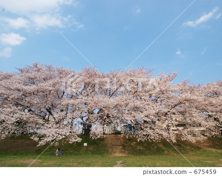 Hokuetsougaya Arakawa river bank 675459