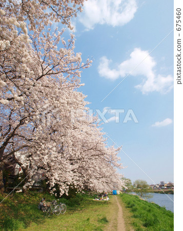 Hokuetsougaya Arakawa river bank 675460