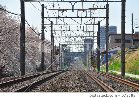 鐵路與年輕的櫻花一起走在年輕的春天 675595