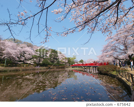 岩城城遺址公園 675642