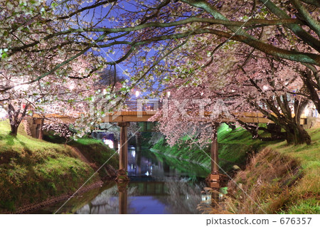 Sakurabashi 3 676357