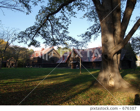 建築 歷史建築 大樹 676387
