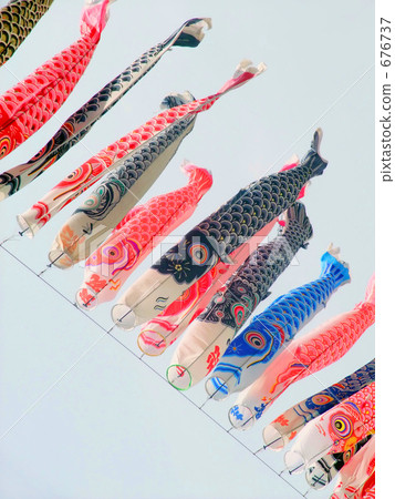    鯉魚旗 676737