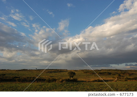 熱帶大草原 薩凡納 馬賽馬拉 677173