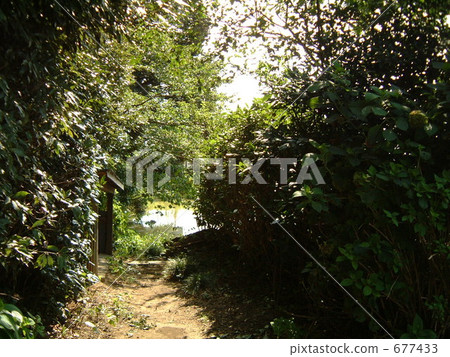 country, countryside, non urban 677433