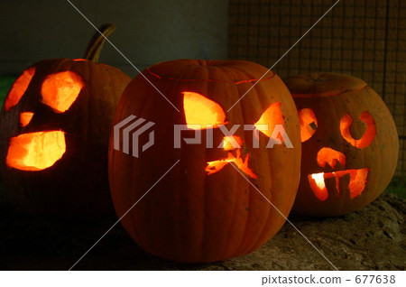 聖誕裝飾 裝飾性的 裝飾 677638