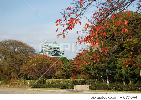 nagoya castle, green, autumn 677644
