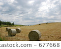 乾草捆 牧場 美瑛 677668