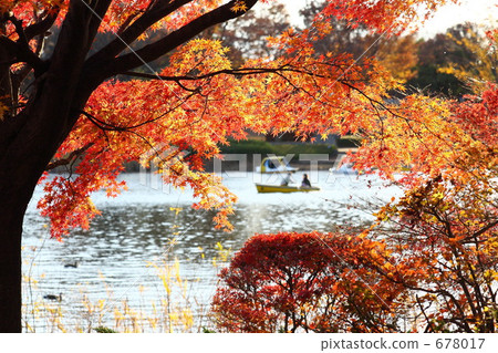 Showa Memorial Park · Autumn Date Showa Memorial Park · Autumn Date 678017