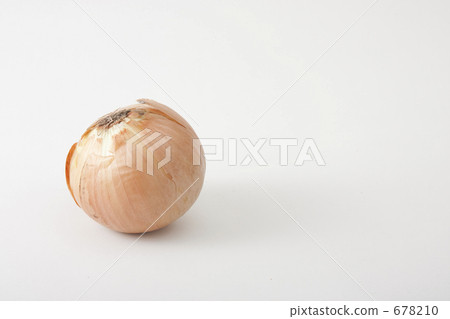 One onion 678210