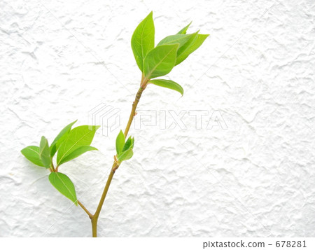 Fresh green chromoji 678281