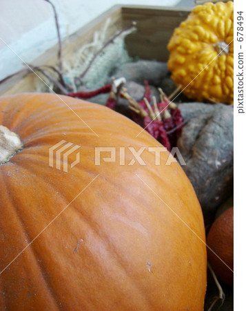 Harvest Harvest 678494