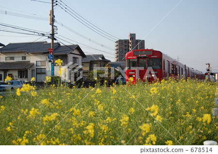 red train, rape, rape blossoms 678514