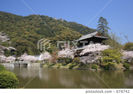 Hinokutekaku in spring Hinokutekaku in spring 678742