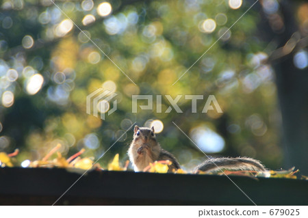 要欣賞 要欣賞 679025