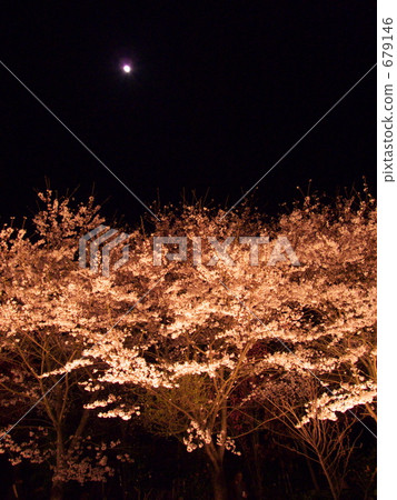 Fantasy of spring night 679146