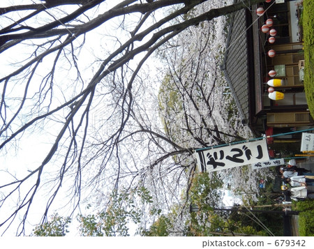 茶社 茶室 斯托爾 679342