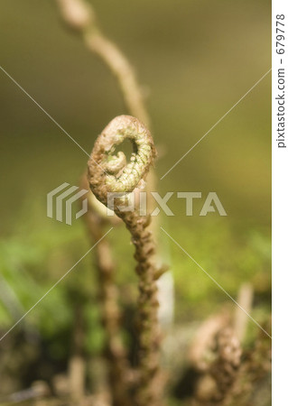 旋轉力量 旋轉力量 679778