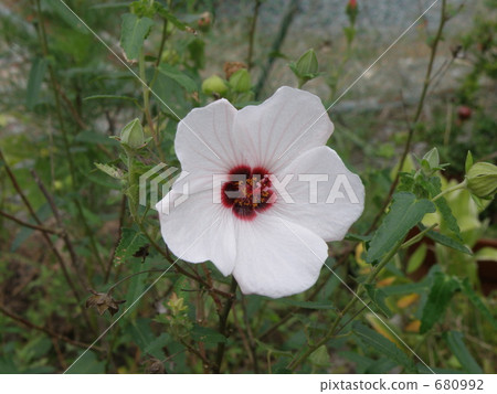 Yanone Bonnetka Yanone Bonnetka 680992