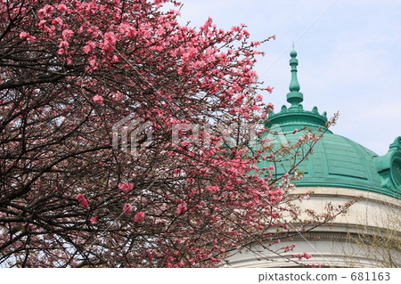 東京國立博物館和Kikucho 681163
