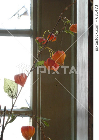 Crown of the window 681473