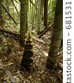 Bamboo shoots 681531