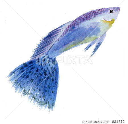 Blue Grass Guppy Blue Grass Guppy 681712