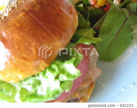 Hamburger plate 682223