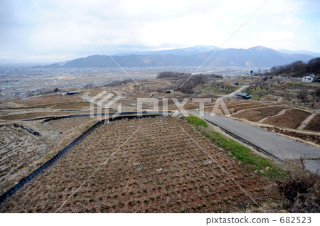  被遺棄的水稻梯田 682523