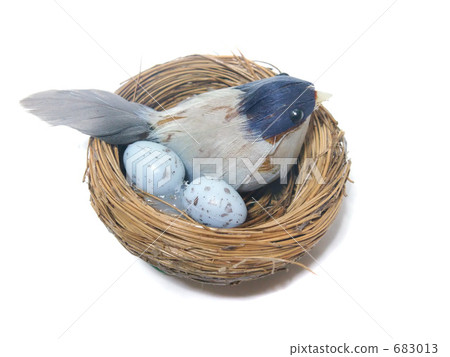 一隻小鳥的模型 一隻小鳥的模型 683013