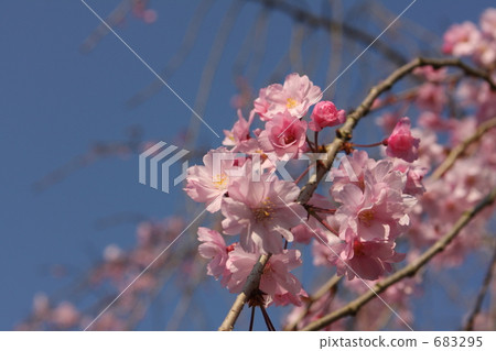 Pastel looking up the sky 683295