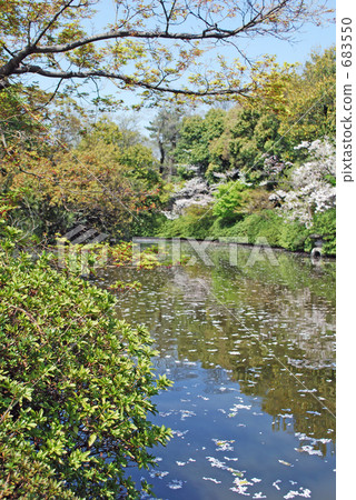 Pond in Shinsen garden 683550