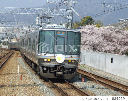 223系列穿過櫻花盛開的櫻花 223系列穿過櫻花盛開的櫻花 684929