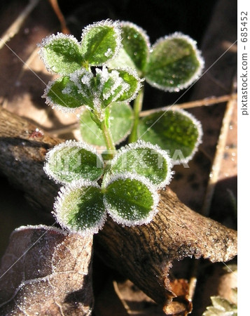 Bale of frost 685452