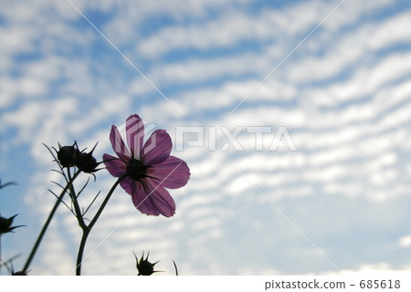 秋天的天空和宇宙 秋天的天空和宇宙 685618