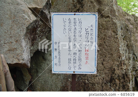 Hikarigokke故鄉指導板塊 685619