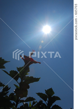 仲夏的天空和芙蓉 685703