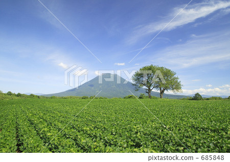 豆田和羊蹄山 685848