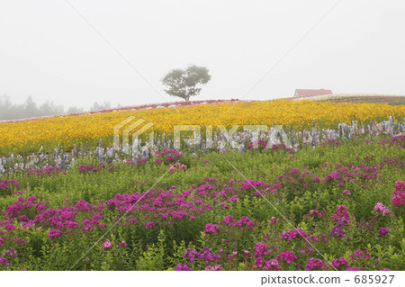 Heart tree standing on a hill of flower garden 685927