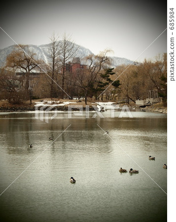 中島公園 菖蒲池 池塘 685984