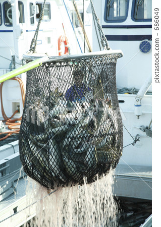 Liberation of autumn flavor 686049