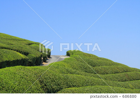 通過1號公路 686880