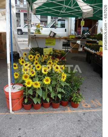 花匠 花店 聯合廣場 687026
