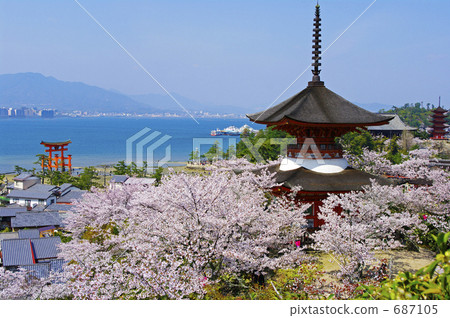 Spring in Miyajima Spring in Miyajima 687105