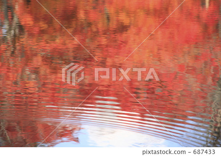 Autumn leaves reflected on the water 687433