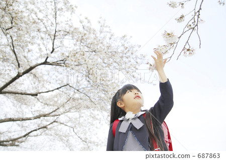 elementary student, primary school child, schooler 687863